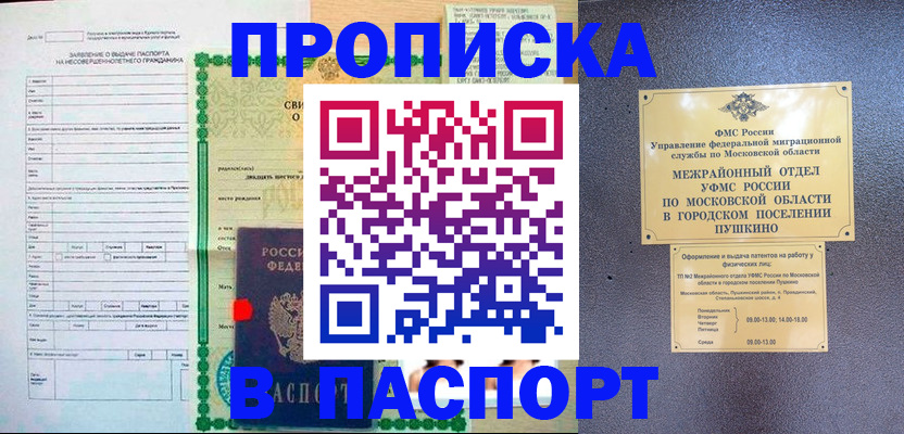 временная регистрация госуслуги в Павловске